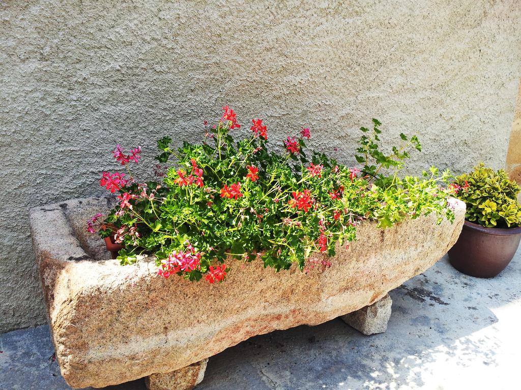 Country house Miquel - En Pleno Bosque Y Cerca De La Playa - Increibles Rutas Btt