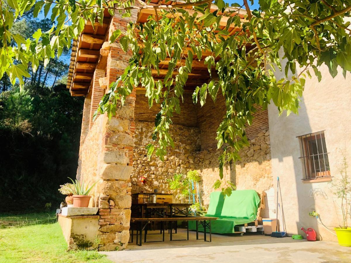 Country house Miquel - En Pleno Bosque Y Cerca De La Playa - Increibles Rutas Btt