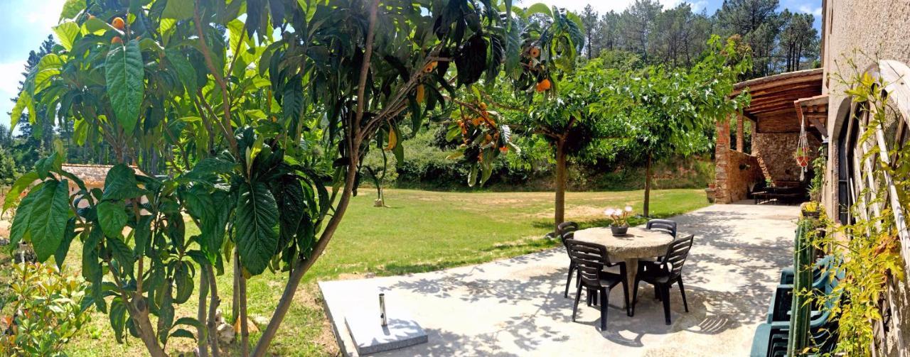 Country house Miquel - En Pleno Bosque Y Cerca De La Playa - Increibles Rutas Btt *